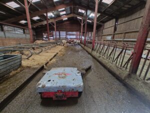 IMG_20231020_093204167