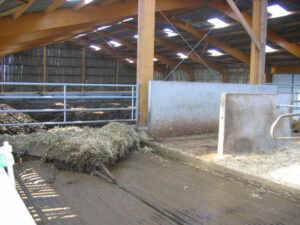 RACLEUR A CHAINE - ABSIE - 18